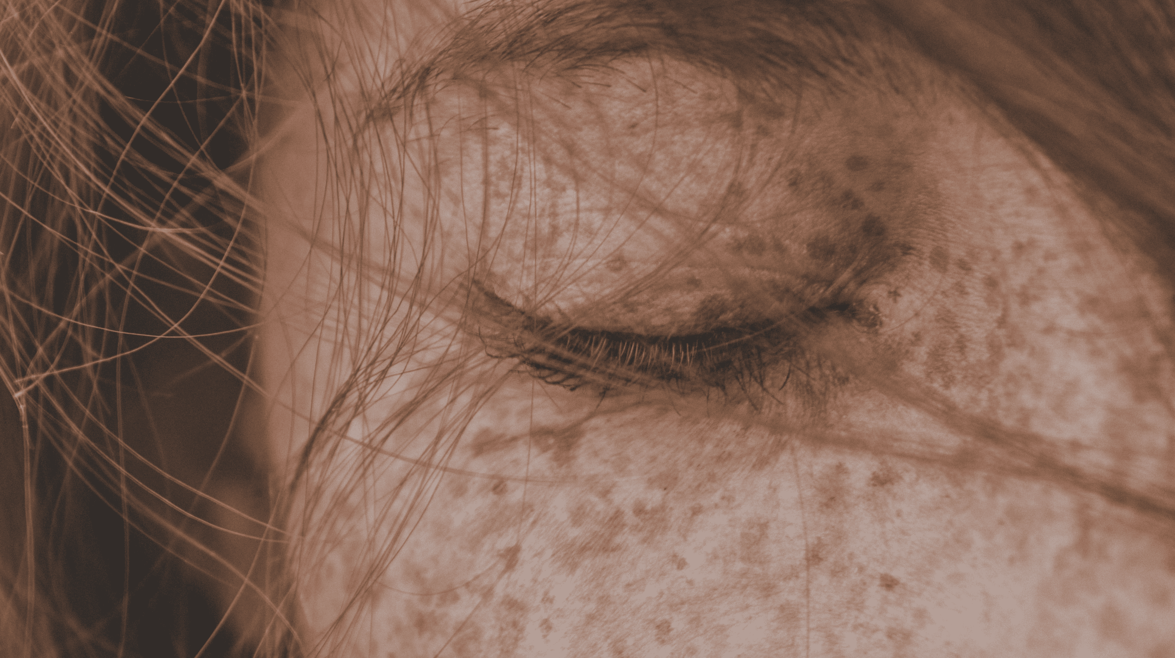 MindStillness meditation